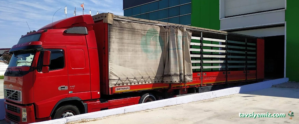 Rubenis İplik Fabrikası