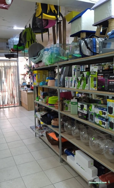 Rüyam Petshop Ve Balıkçılık Malzemeleri Rüyam Petshop Ve Balıkçılık Malzemeleri