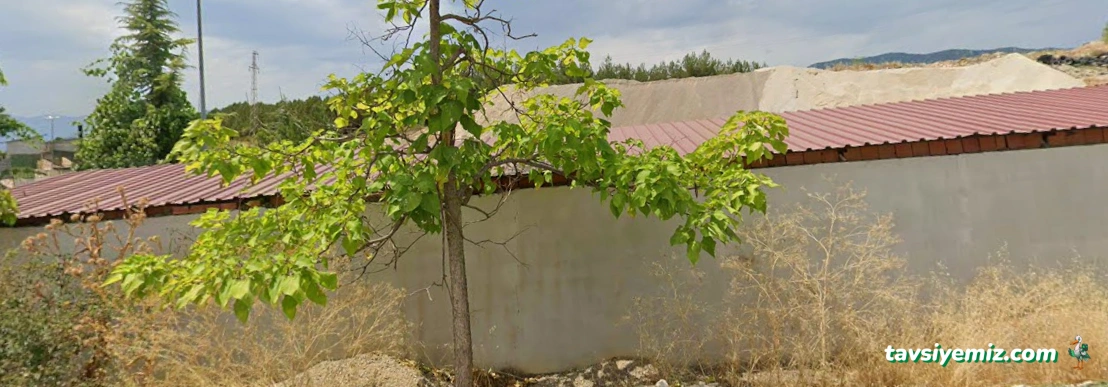 Safranbolu Belediyesi Veteriner İşleri Müdürlüğü