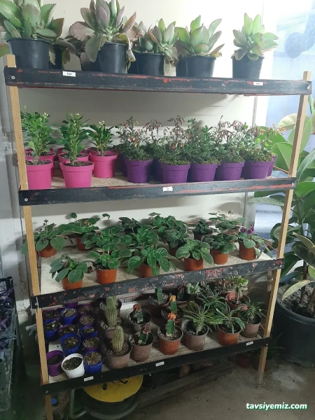 Saklı Bahçe Peyzaj Saklı Bahçe Peyzaj
