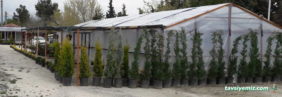 Saklı Bahçe Peyzaj