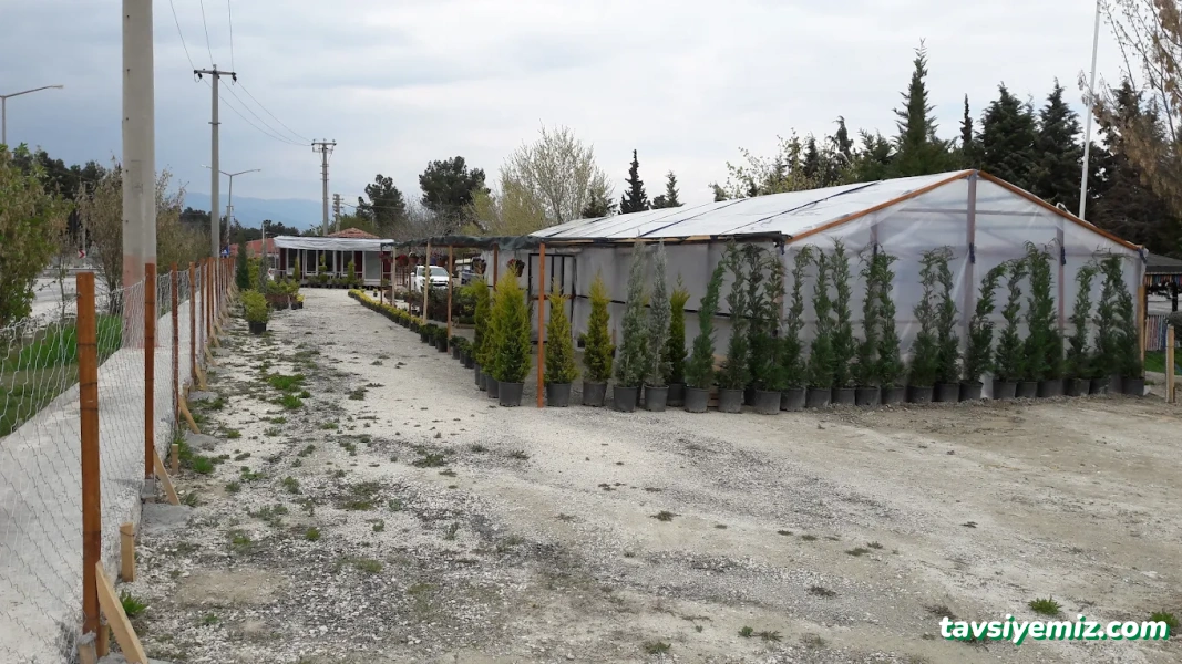 Saklı Bahçe Peyzaj Saklı Bahçe Peyzaj
