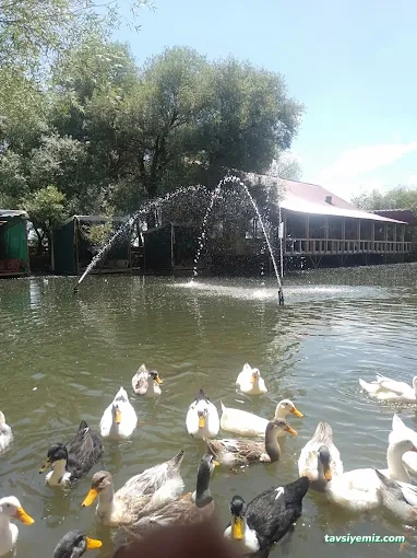 Saklıbahçe Ağrı Saklıbahçe Ağrı