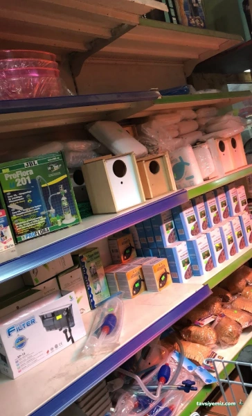Salih Trabzon Akvaryum Pet Shop Galerisi
