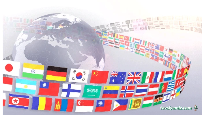 Saltvisa - Vize Danışmanlık Hizmetleri