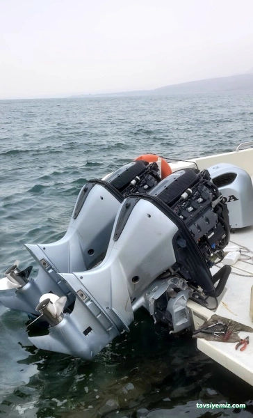 Şampiyon Marin