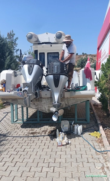 Şampiyon Marin