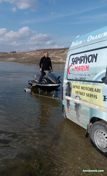 Şampiyon Marin
