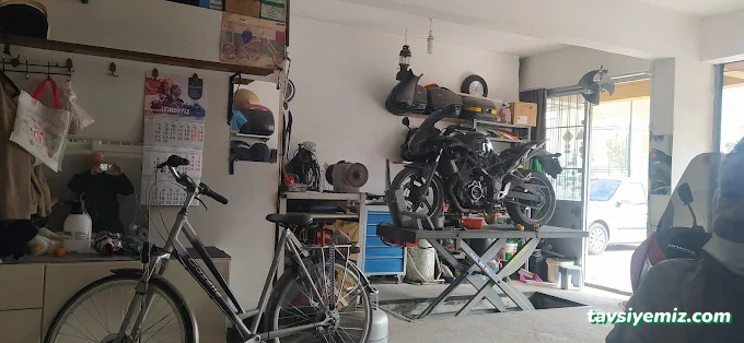 Şampiyon Motor Şampiyon Motor