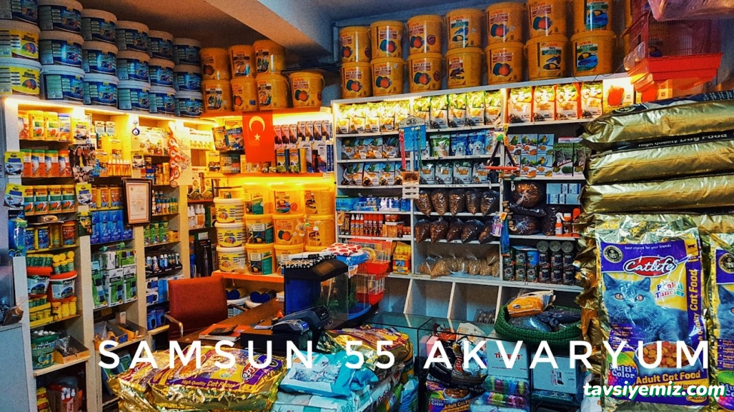 Samsun 55 Akvaryum Samsun 55 Akvaryum
