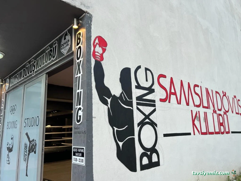 Samsun Dövüş Spor Kulübü Samsun Dövüş Spor Kulübü