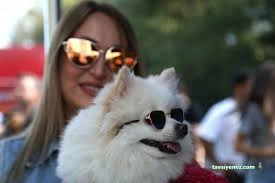 Samsun Pet Fest 2024 - Karadeniz 4.Evcil Hayvan Ve Doğa Festivali Samsun Pet Fest 2024 - Karadeniz 4.Evcil Hayvan Ve Doğa Festivali