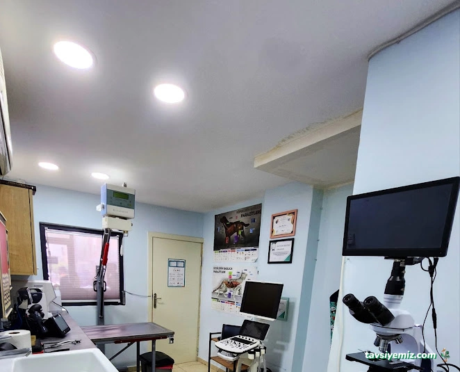 Sante Veteriner Kliniği Sante Veteriner Kliniği