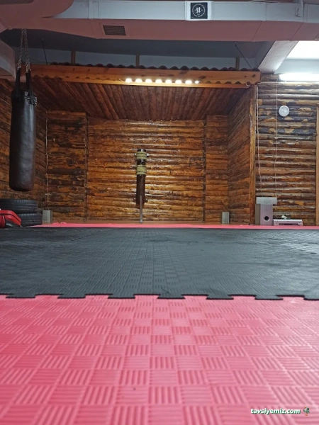 Savaş Sanatları Akademisi Savaş Sanatları Akademisi
