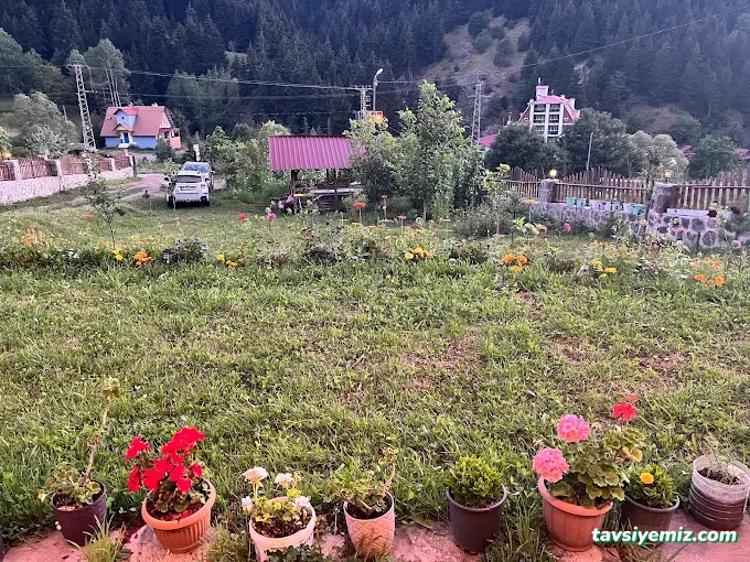 Şavşat Bungalov Şavşat Bungalov