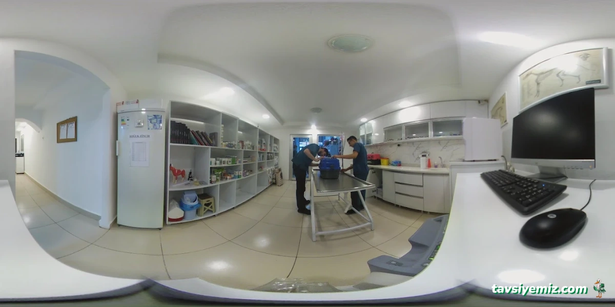 Sayın Veteriner Kliniği Sayın Veteriner Kliniği