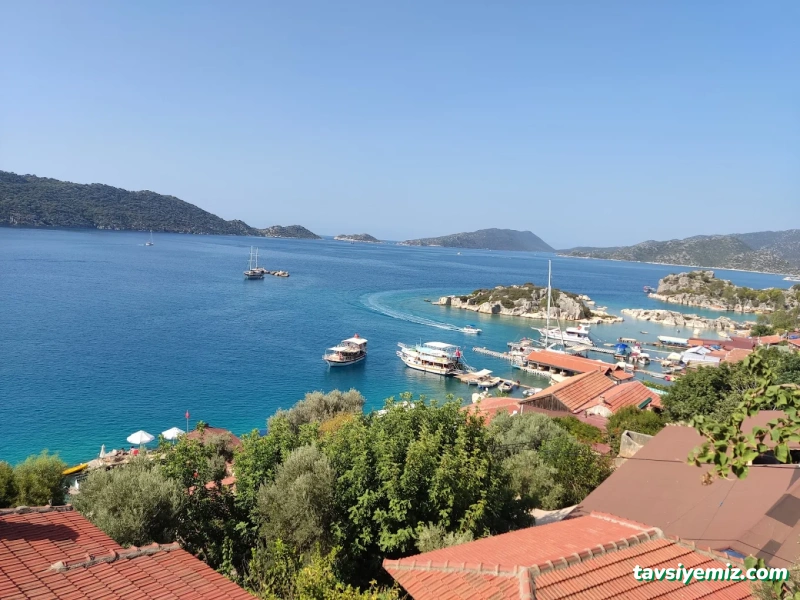 Sea Star Travel Sea Star Travel