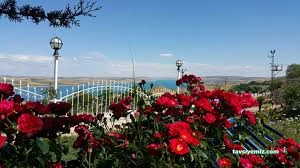 Şehrizar Cafe Ve Nargile Şehrizar Cafe Ve Nargile