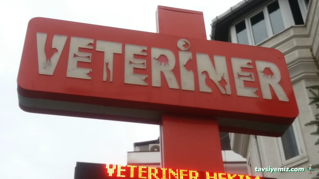 Şenlikköy Veteriner Kliniği Şenlikköy Veteriner Kliniği
