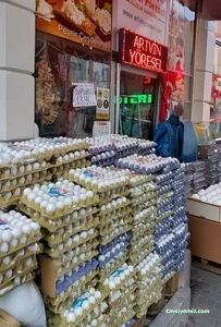 Şenol Gıda