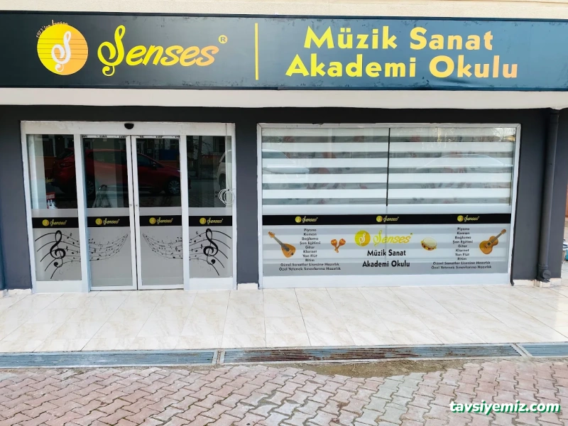 Şenses Müzik Sanat Akademi Okulu