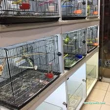 Sera Aquarium Pet Market & Pet Center & Pet Shop Sera Aquarium Pet Market & Pet Center & Pet Shop