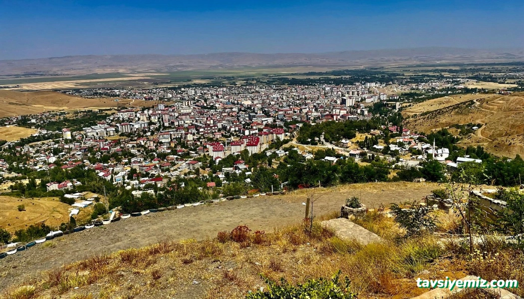 Şeref Büfe Şeref Büfe