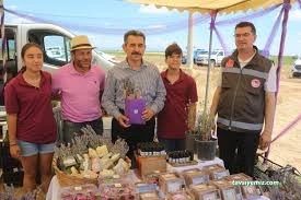 Serence Lavanta Festival Alanı Serence Lavanta Festival Alanı