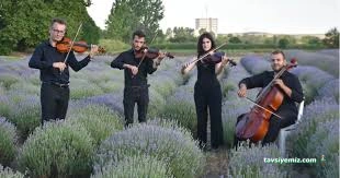 Serence Lavanta Festival Alanı Serence Lavanta Festival Alanı