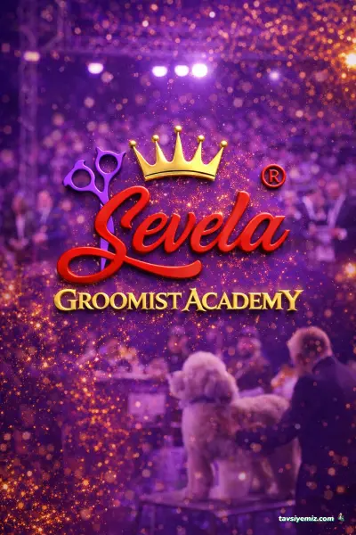 Sevela Groomist Academy