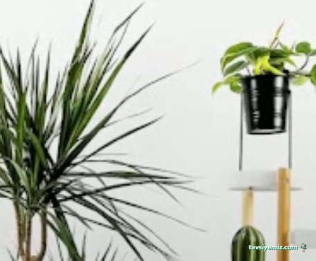 Sevgi Çiçekçilik Ve Organizasyon