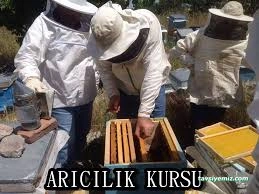 Sincan Halk Eğitimi Merkezi Ve Aso Sincan Halk Eğitimi Merkezi Ve Aso