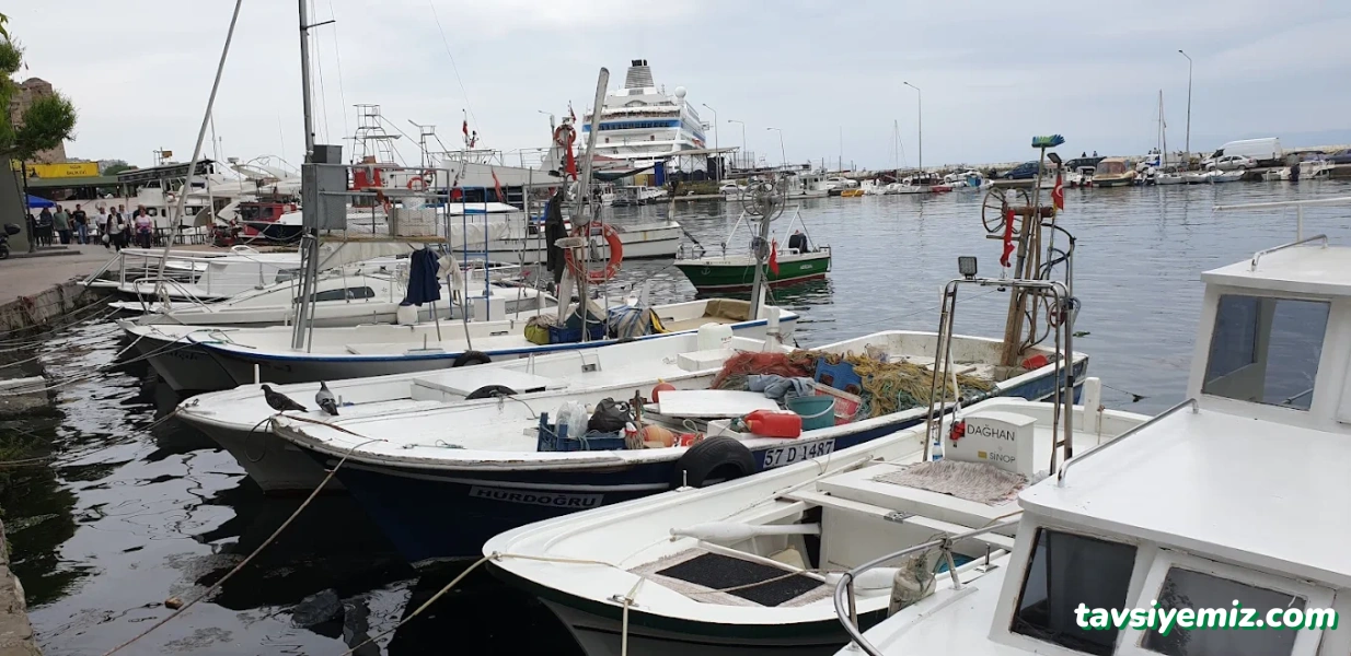 Sinop Gezi Teknesi Deniz Yıldızı 57