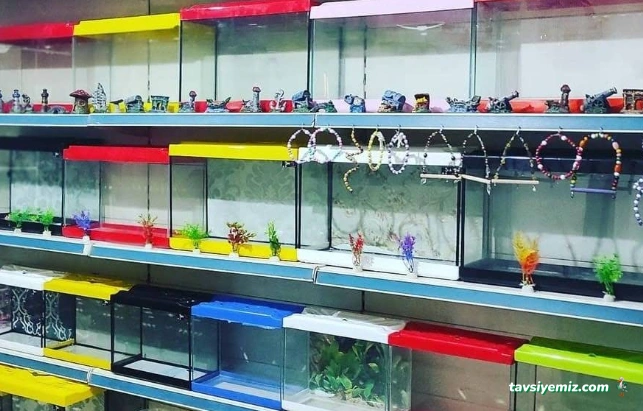 Şırnak Petshop