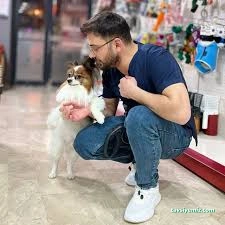 Sivas Bölge Pet Kuaför Kedi&Kopek Kuaförü Sivas Bölge Pet Kuaför Kedi&Kopek Kuaförü
