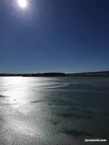 Sivas İz Peyzaj Tasarım Uygulama