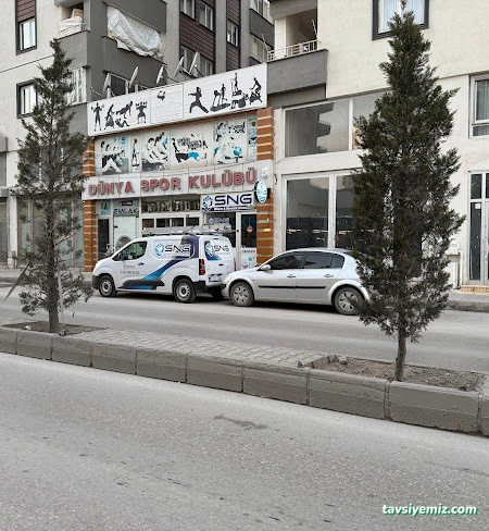 Sng Bilişim & Güvenlik Sistemleri Sng Bilişim & Güvenlik Sistemleri