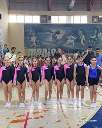 Sönmez Cimnastik Spor Kulübü