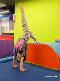 Sportsart Cimnastik Ve Sağlıklı Yaşam Merkezi Sportsart Cimnastik Ve Sağlıklı Yaşam Merkezi