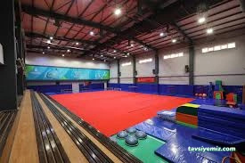 Sportsart Cimnastik Ve Sağlıklı Yaşam Merkezi Sportsart Cimnastik Ve Sağlıklı Yaşam Merkezi