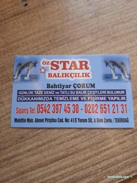 Star Balıkçılık