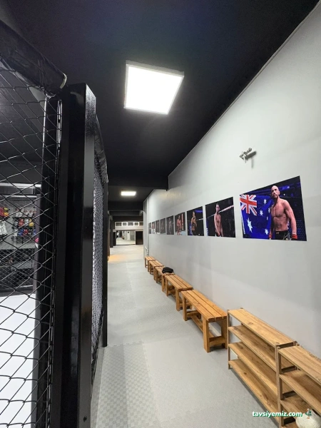 Submission Fight Academy