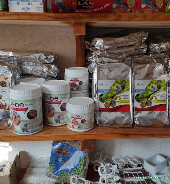 Talha Petshop Talha Petshop