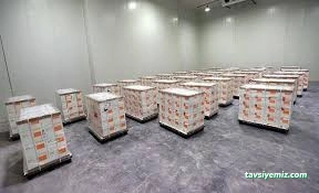 Tarvet Ecza Deposu Tarvet Ecza Deposu
