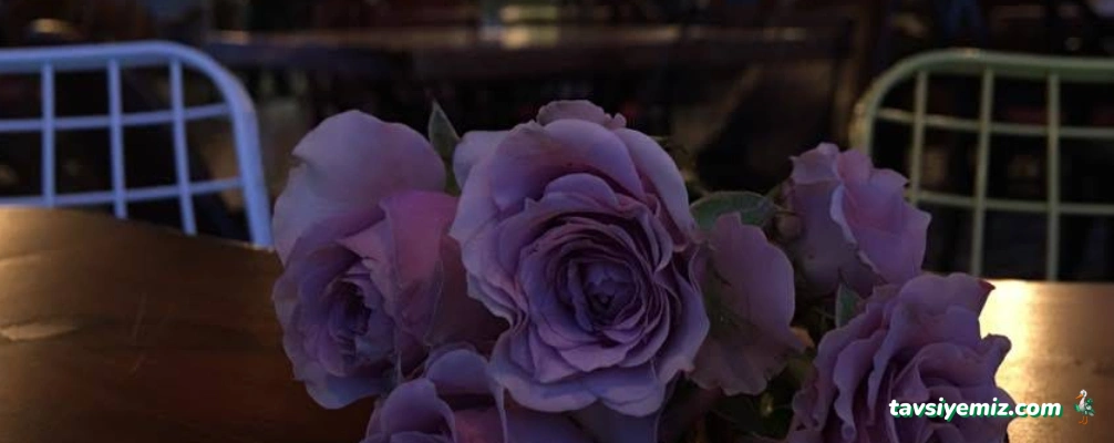 Tarz-I Hayal Kafe&Bistro