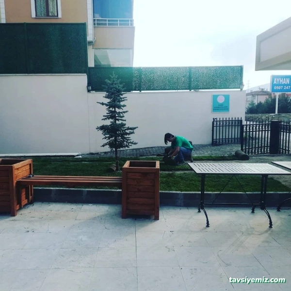 Taş Peyzaj Taş Peyzaj