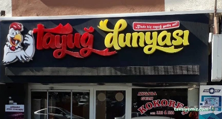 Tayuğ Dünyası Bayburt