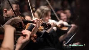 T.c M.e.b Özel Senkron Müzik Ve Sanat Kursu