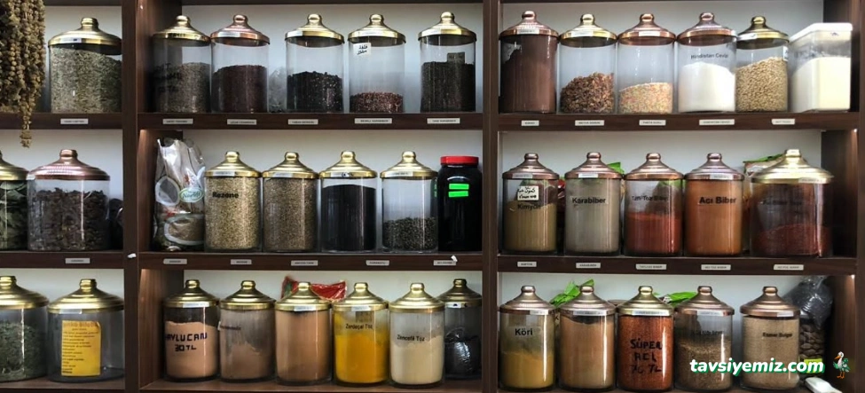 Tekumut Aktar Şifalı Bitkiler