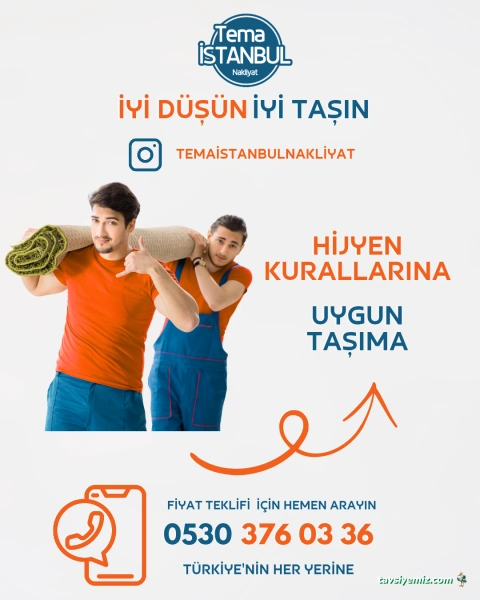 Tema İstanbul Nakliyat Tema İstanbul Nakliyat